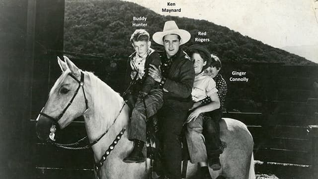 movie profile 